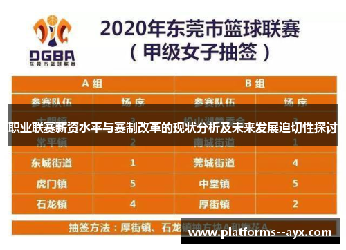职业联赛薪资水平与赛制改革的现状分析及未来发展迫切性探讨